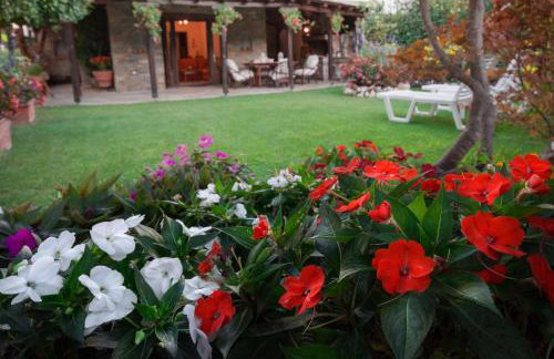 Villa Begonia by the sea - Photo 14