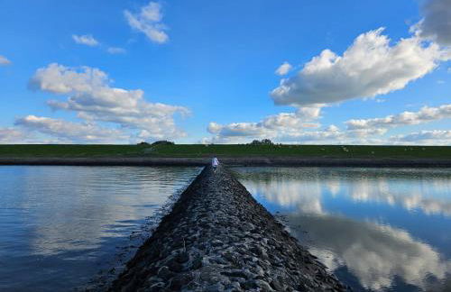 Ferienwohnung Friesenhaus - Photo 6