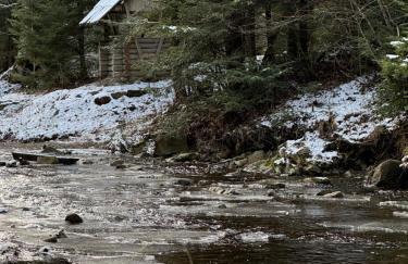 Bieszczady Beztroska Chata - Foto 54
