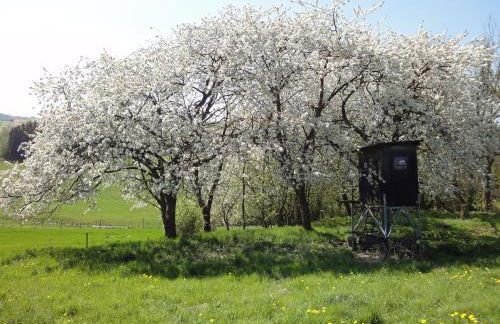 Holiday Home Moselle With Private Sauna - Foto 28