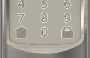 Magnolia Blooms - Foto 30