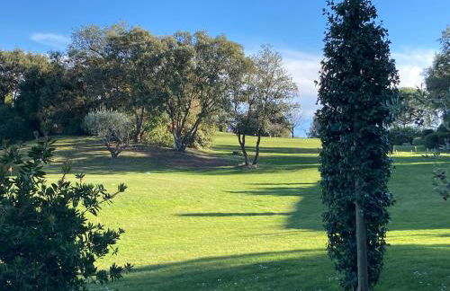 Appartement T2 sur le Golf de Saint Endréol,spa,piscine - Foto 25