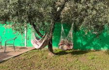 La tenuta di Eva - Foto 21