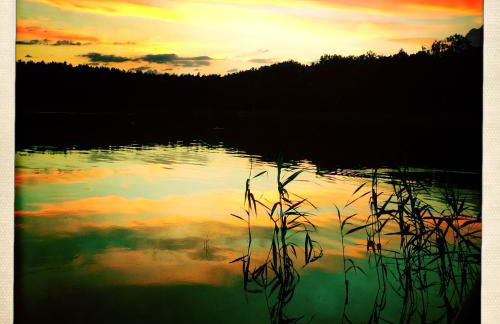 Landhaus Schönhof - Foto 30