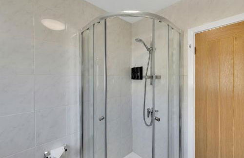 The Squirrels - Foto 6