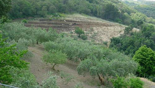 Agriturismo Al Poggetto - Foto 5