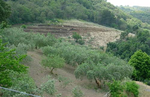 Agriturismo Al Poggetto - Foto 6