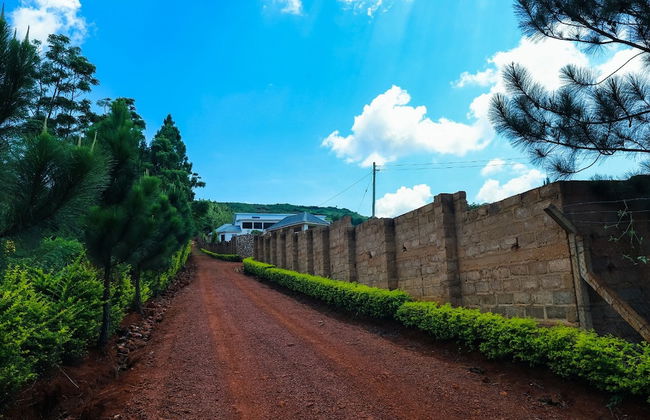 The White House - Foto 22