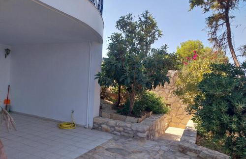 The Three Graces - Foto 64