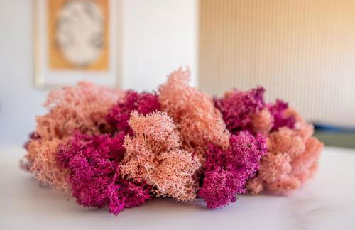 have-a-nice-Stay - nahe der U-Bahn nach Hamburg - Natur 1 Minute entfernt - Bäcker & Restaurants 500m - Lidl 800m - Zentrum 1,5km - Foto 47