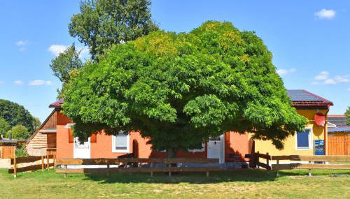 Ferienwohnung am Oase am Vilzsee - Foto 3