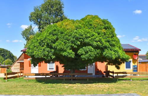 Ferienwohnung am Oase am Vilzsee - Foto 31
