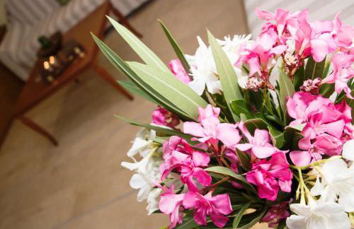 Villa Argyro Triopetra - Foto 29