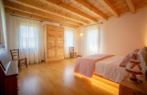 GATTO IN VIGNA - Foto 23