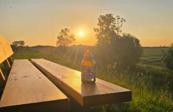 Oase am Deich - Photo 47