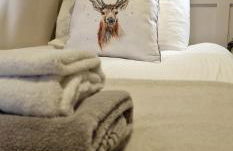 Bonnie Lodge-Lochside Location with Hot Tub - Photo 11