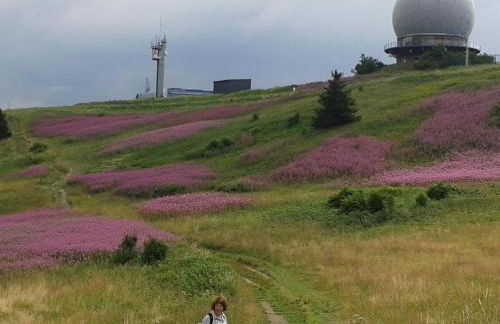 Ferienwohnung Erwin Ortmann - Foto 14
