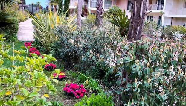 Paradise Luxury Apartments - Foto 2, Imagen principal