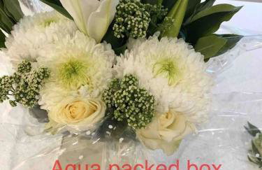 Saint Chads Lodge Near EDEN Luxulyan - Foto 29