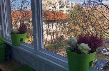 Ami-go/ Blizu zračne luke Zagreb - Foto 9