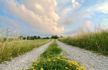 Appartamento immerso nella natura, silenzio e riservatezza a 550 m di quota - Foto 21