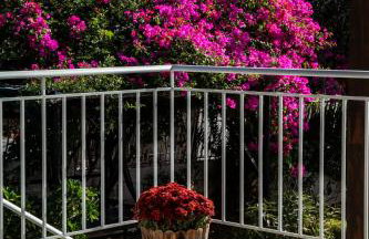 Beetle Villa retro country house - Foto 32