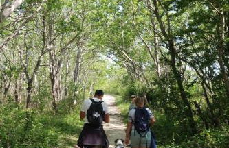 Côte d'Opale - Maison Cocooning Classé 3 Étoiles - Foto 31