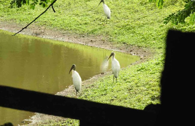 Pilgrim's Paradise Cabin 2 - Photo 17