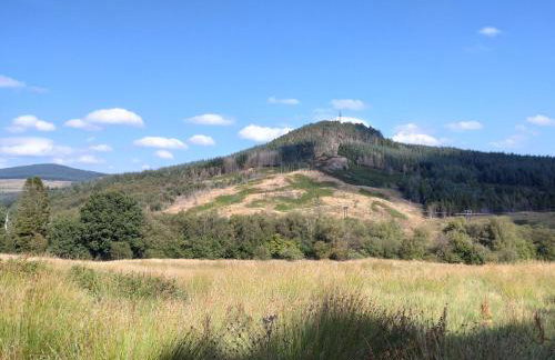 Courtyard Cottage - Foto 20