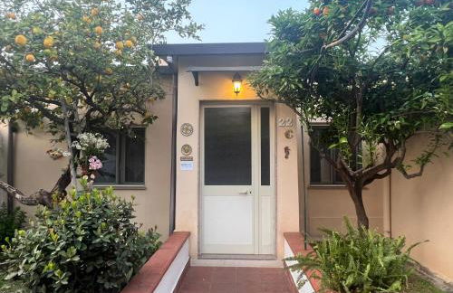 Nel giardino di Nunziatina - Photo 2