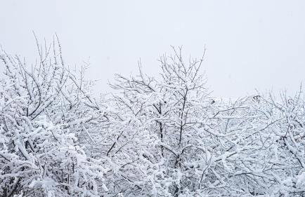 Domki w Beskidach - Foto 50