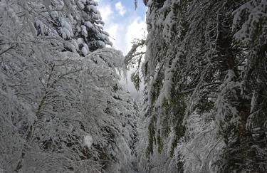 In the heart of nature with an unique view - Foto 6