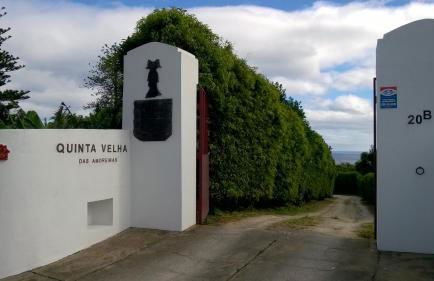 QVA - Quinta Velha das Amoreiras - Photo 2