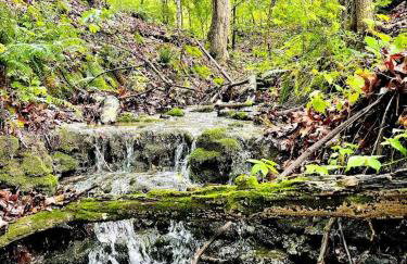 Cedarwood Farmstead - Foto 56