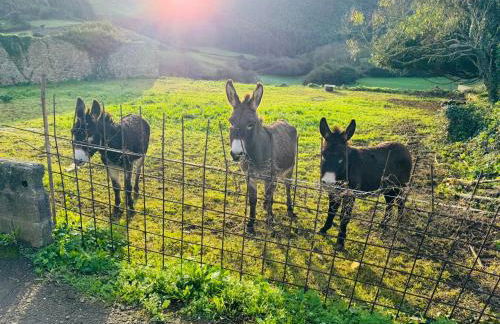 La Casuca De la Iglesia - Foto 35