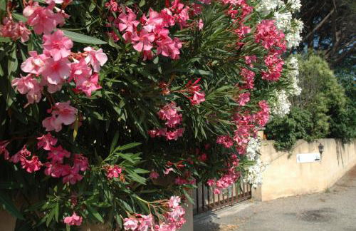 La Vigne et L'Olivier - Foto 18