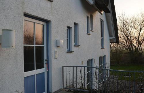 Großer Wattläufer - Foto 18