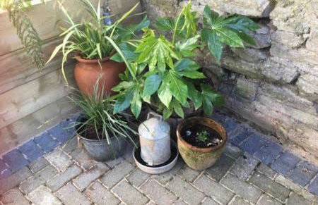 Gilliflower 1 bedroom cottage at Trethwale Barns Holiday Home - Photo 11