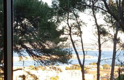 Appartement vue panoramique ,au Mont St Clair - Foto 2