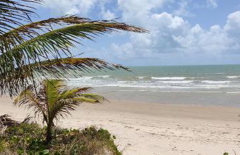 Mansão Ponta da Asa - Foto 48