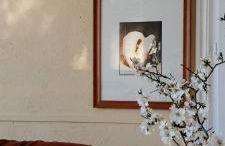 Panoramic Villa Among Vizzini's Cacti - Foto 21