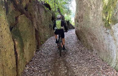 Agriturismo Buonasera - Foto 109