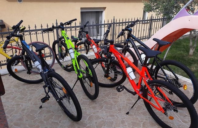 Apartments Viki - Photo 69