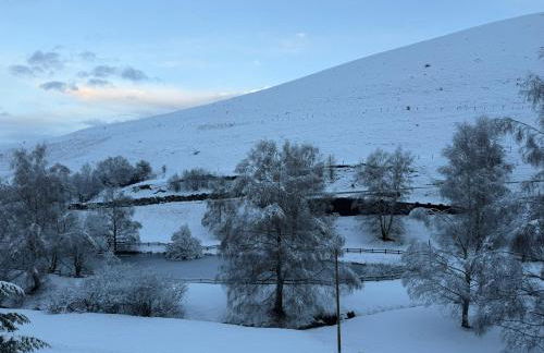 Appartement loudervielle - Foto 12