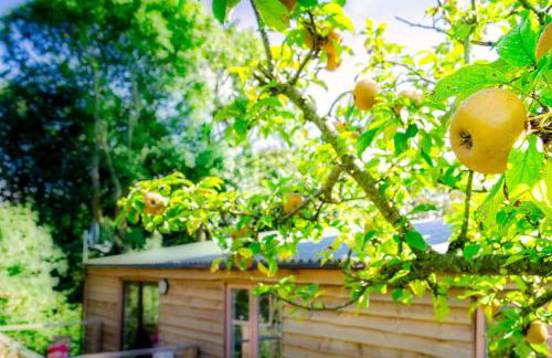 Helnoweth Lodge - Photo 27