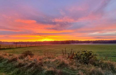 1 Bedroom Pet Friendly Home In Rekowo - Foto 11