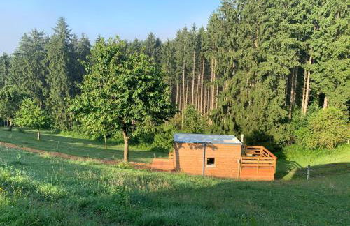 Garnecker Galloways - Foto 27