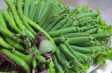 Agriturismo le Spighe - Fattoria Bertaccini - Foto 81