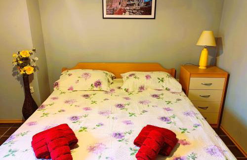 Apartmani Ferri 1 - Foto 9