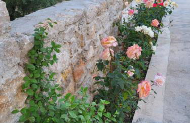 Ionian Sea Villas - Foto 10